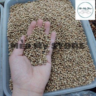 Hạt tiêu sọ đắk lắk, tiêu trắng cay thơm loại 1