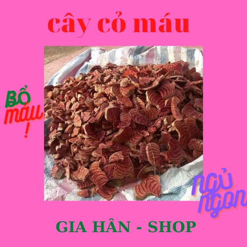 1kg Cỏ Máu Khô: Bổ máu, ăn ngon, ngủ ngon, kích thích tiêu hóa, Tăng cân tự nhiên.