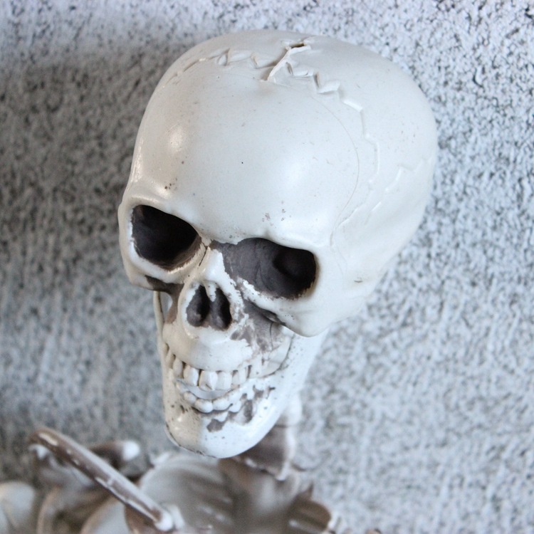 Mô Hình Bộ Xương Người Bằng Nhựa Tăng Chiều Cao 40cm Trang Trí Halloween