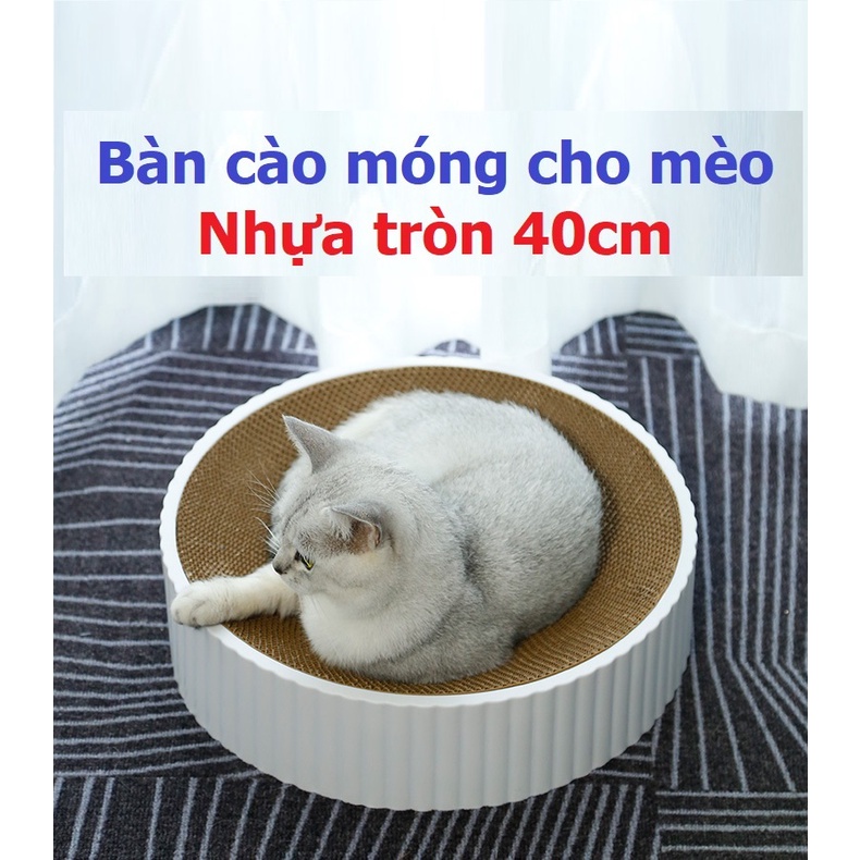 Bàn cào móng tròn Orgo New kiêm ổ nằm cho mèo