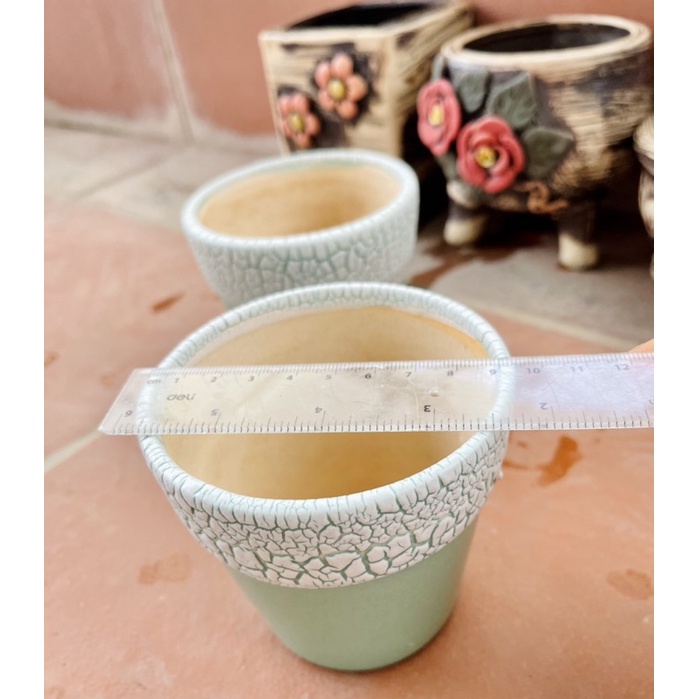 Chậu trồng sen đá