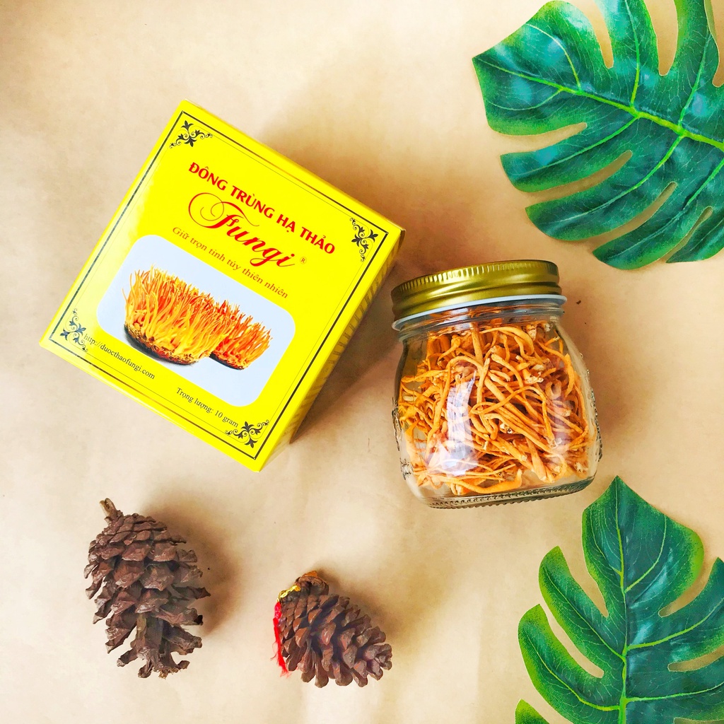 Nấm Đông Trùng Hạ Thảo khô sấy thăng hoa Fungi 10g sợi đẹp - Dược Thảo Fungi