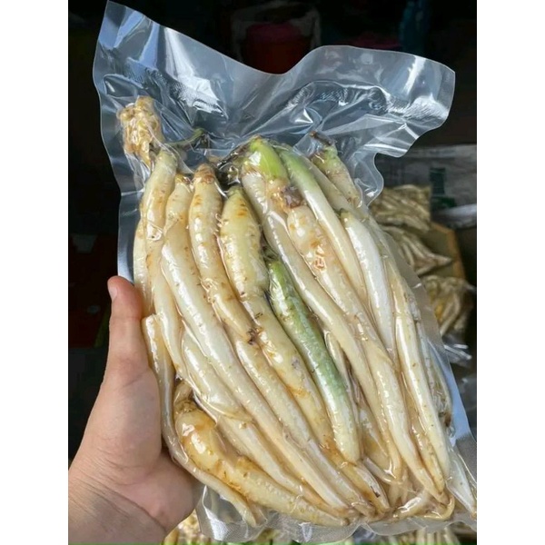 Đẳng sâm tươi