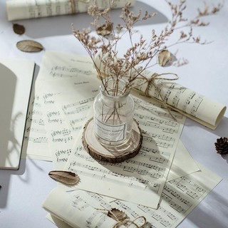Giấy decor chụp ảnh mẫu