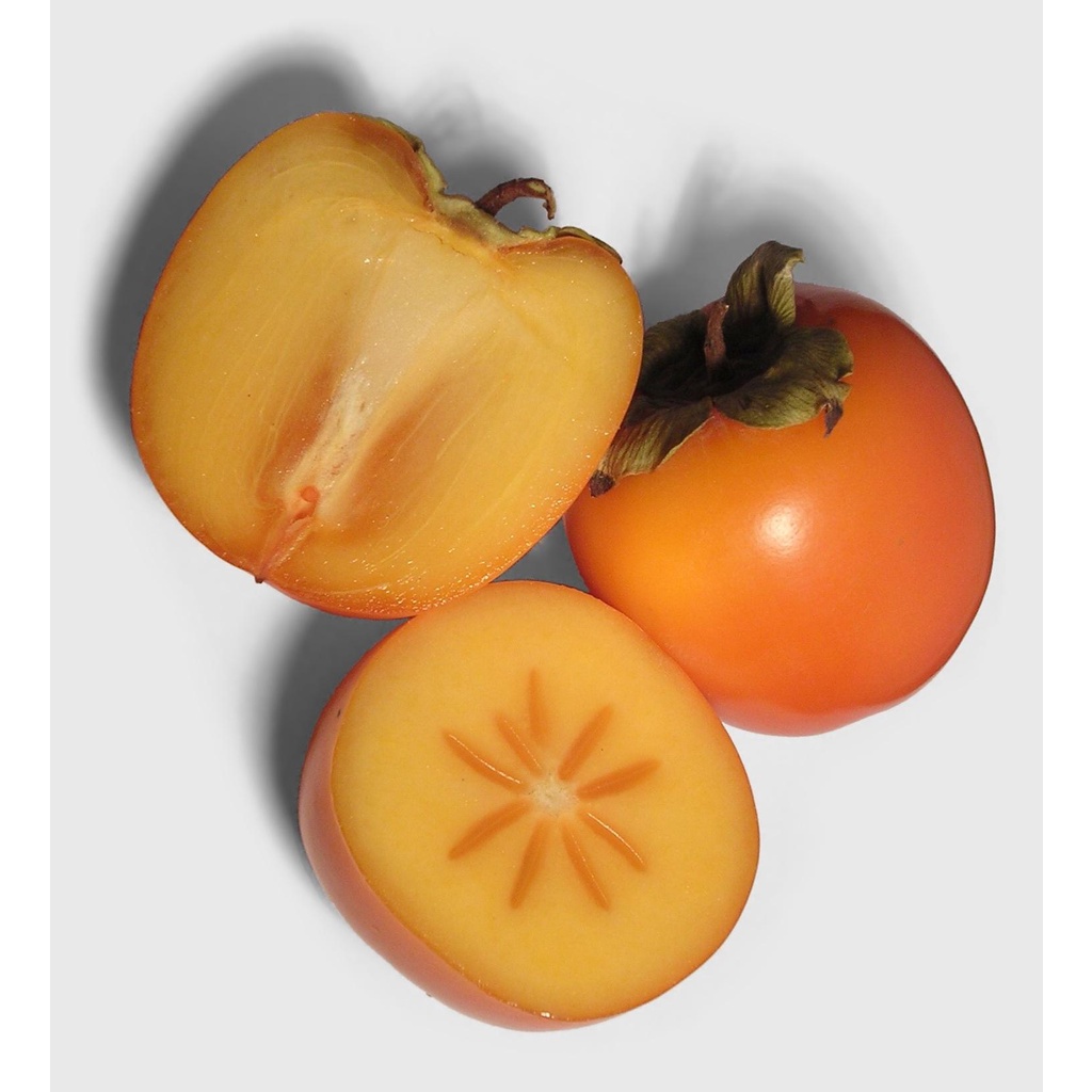 CÂY GIỐNG HỒNG GIÒN - SIÊU TRÁI, SIÊU GIÒN, NGỌT