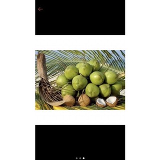 Dao lấy cơm dừa thép không gỉ ( giá tốt nhất)