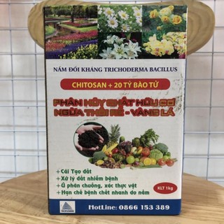 Trichoderma bacillus nấm đối kháng chitosan & 20 tỷ bào tử hộp 1kg - ủ phân chuồng
