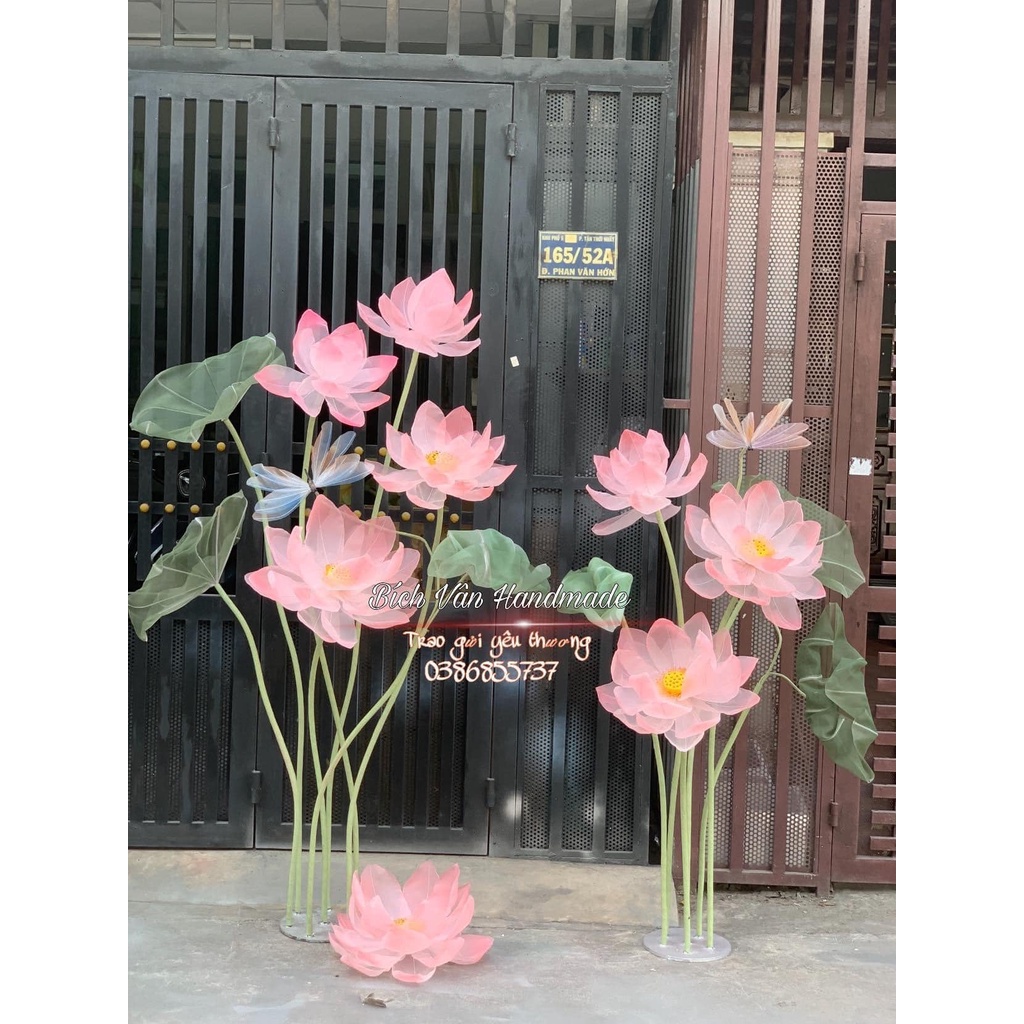 Hoa Sen Trang Trí Khổng Lồ | Giant Flower