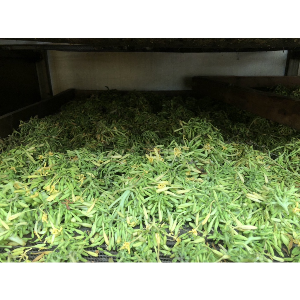 1kg Hoa đu đủ sấy khô (nguyên búp, không cọng, sấy lạnh - ngừa ung thư, kích thích tiêu hóa, tốt cho hô hấp, ngừa ho