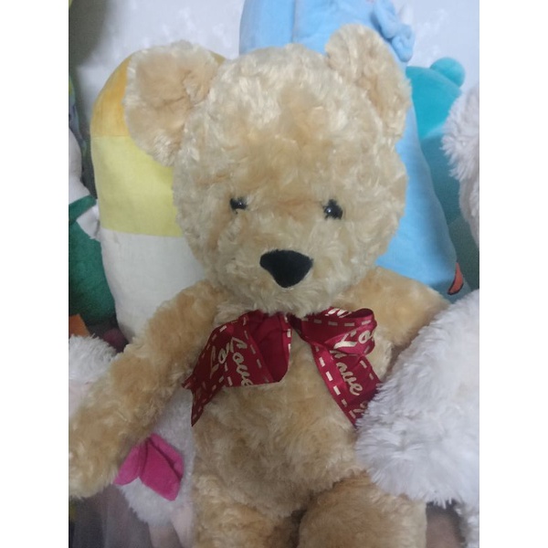 Gấu bông hàng kiện size 40-50cm