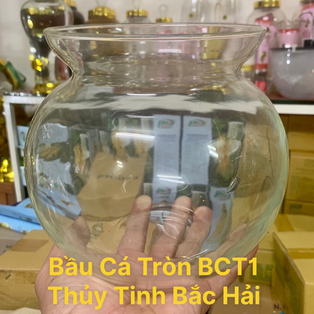 Mẫu Bầu Cá Tròn BCT1 - Bầu Bèo, Thố, Chân Ly, Chậu , Bễ , Hồ Thủy Tinh Trồng Cây Thủy Sinh Và Nuôi Cá