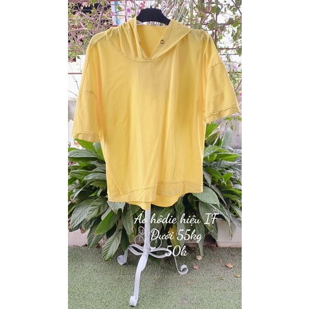 Áo Sweater-hoodie kiểu