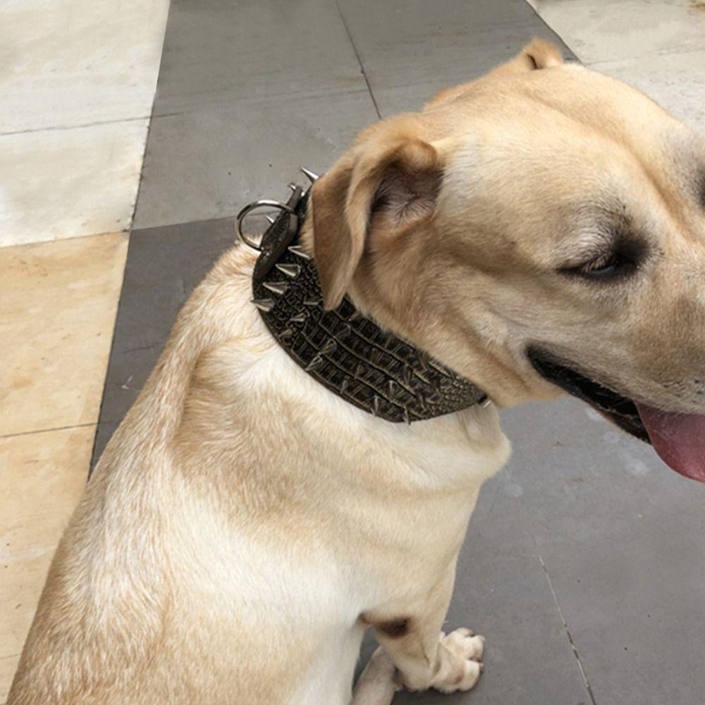 Vòng Cổ ThờI Trang ChốNg SủA Cho Thú Cưng