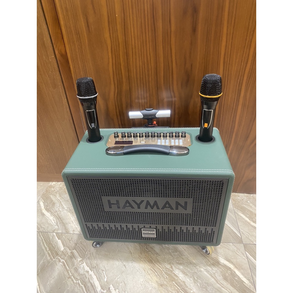 Loa kéo di động Karaoke Hayman X8-6 ( 2 Micro), 600W,2 loa trung, 2 loa treblle, pin 6 den 10h
