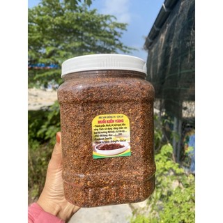 Combo 1kg Muối kiến vàng