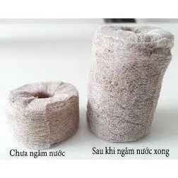 Viên nén xơ dừa ươm cây, hạt