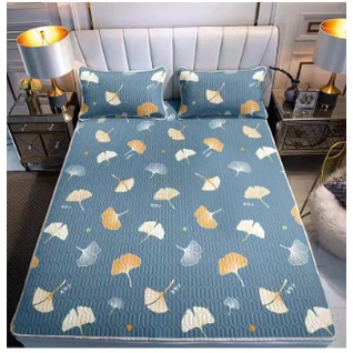 Chiếu điều hòa cao su non gồm ga trải giường kích thước 1m8x2m kèm 2 áo gối mẫu lá phong xanh-sanxuatchangagoi