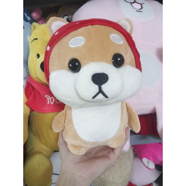 Gấu bông siba size 20-30cm
