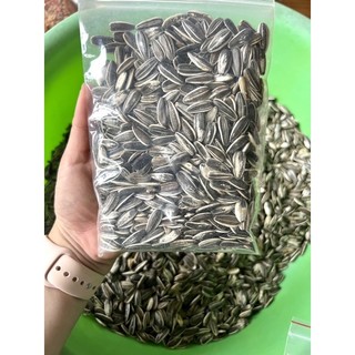 Hướng dương tươi hạt lớn