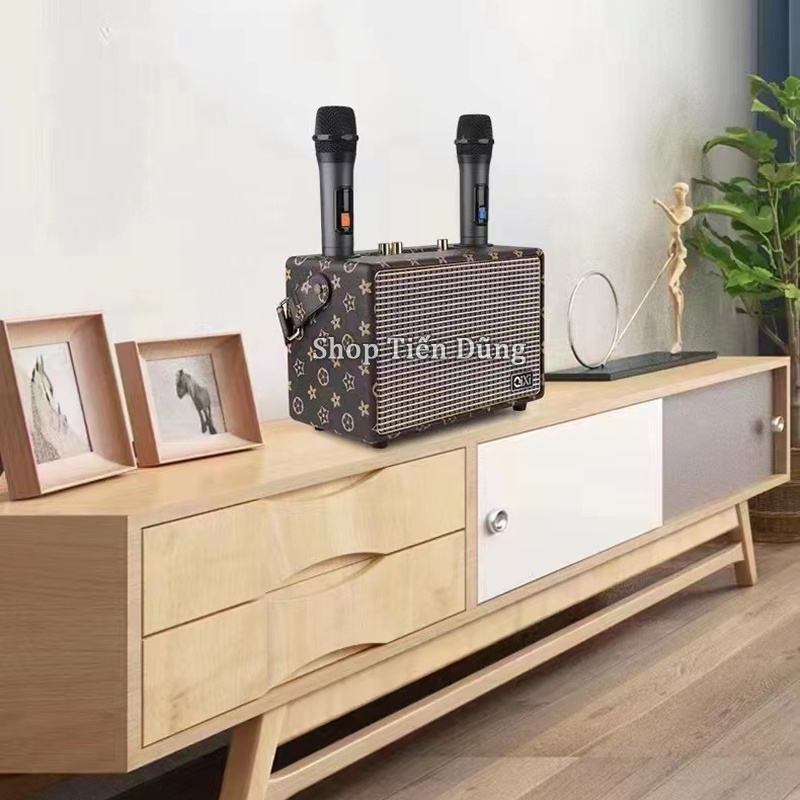 Loa karaoke bluetooth sách tay QiXi SK 2036 kèm 2 micro không dây hỗ trợ USB thẻ nhớ TF Bluetooth V5.0 có cổng mic 6.5.