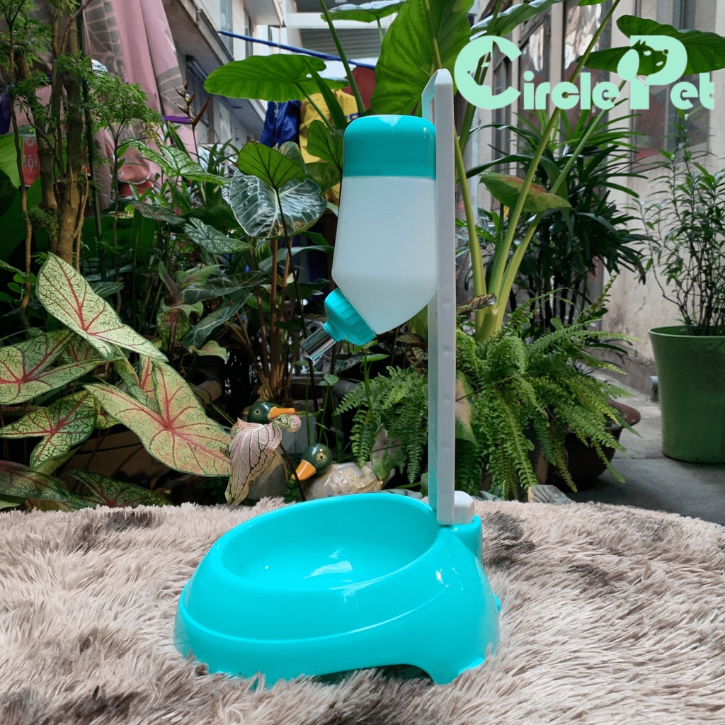 Bình Nước Tự Động Pian Pian Dành Cho Chó Mèo Chất Liệu Nhựa Cao Cấp An Toàn 450ml - Circle Pet