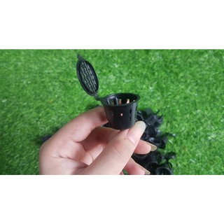 Chậu rổ đụng phân tan chậm 50cái=20k