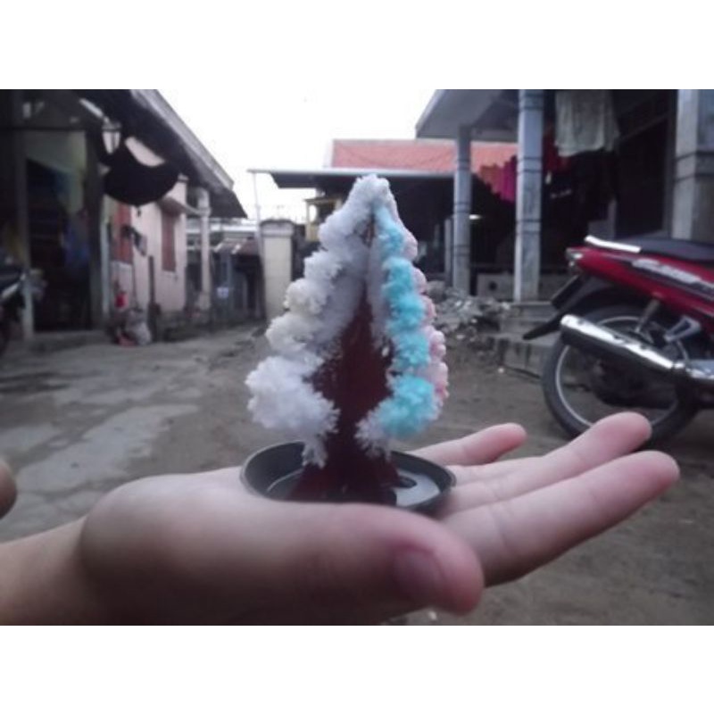 20 bộ Cây thông tuyết noel hàng mới 2023