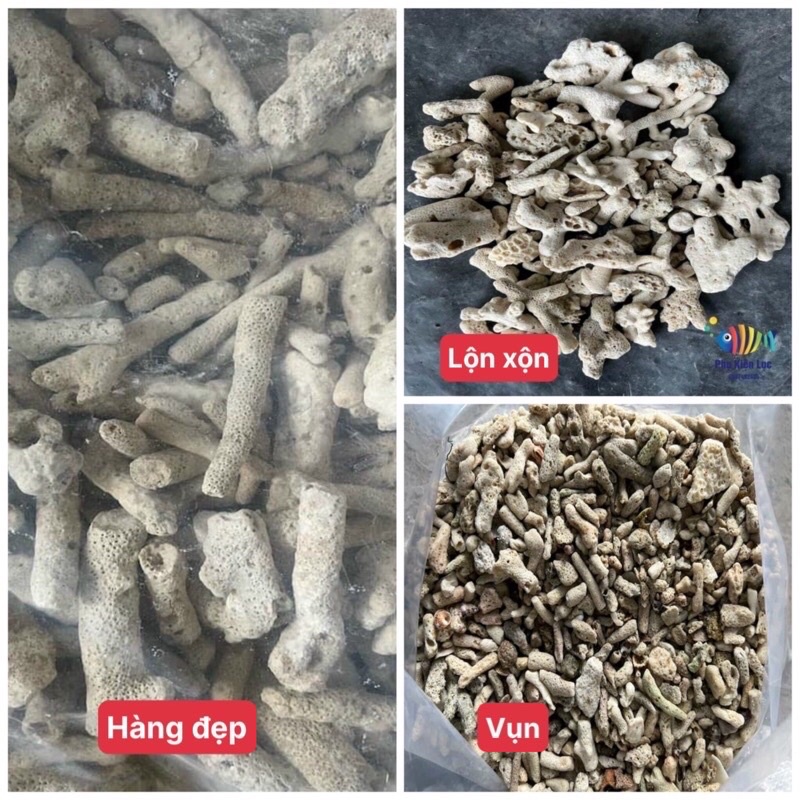 San hô trang trí hồ cá giúp tăng ph túi 1kg