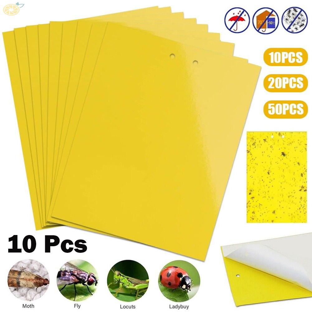 Set 10 Miếng Dán Bẫy Ruồi Muỗi Tiện Dụng Chất Lượng Cao