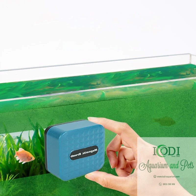 Nam Châm Lau Kính Bể Cá Magnetic Brush