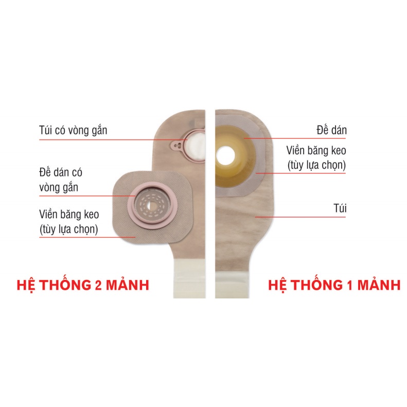 Đế Hậu Môn Nhân Tạo 2 Mảnh- Hollister Đế Bằng có viền băng keo