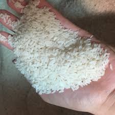12.800 vnđ 1kg 5kg Gạo mới dẻo quê Thái bình Mua 10kg sẽ nguyên bao