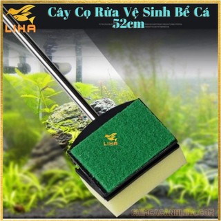 Cây Cọ Rửa Vệ Sinh Bể Cá - Chà Bể Hồ Cá Thủy Sinh