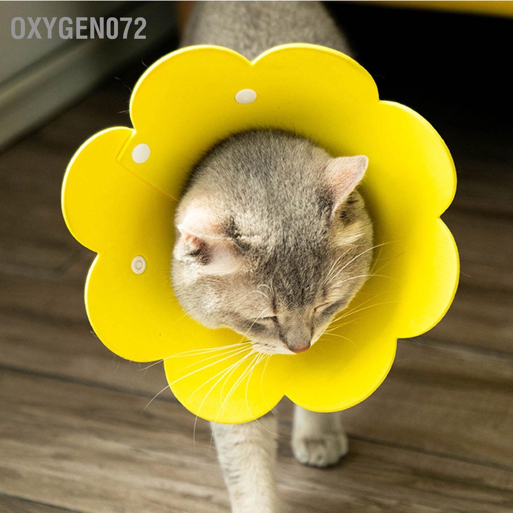 Oxygen072 Hướng dương Elizabeth Cổ áo dễ thương Thoáng khí Ngăn chặn sự liếm EVA Vật nuôi sau khi phẫu thuật Vòng tròn cho Chó mèo Màu vàng