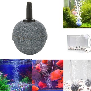 Đá Sục Khí Oxy Chuyên Dụng Cho Bể Cá
