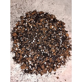 ĐẤT TRỒNG SEN ĐÁ, XƯƠNG RỒNG