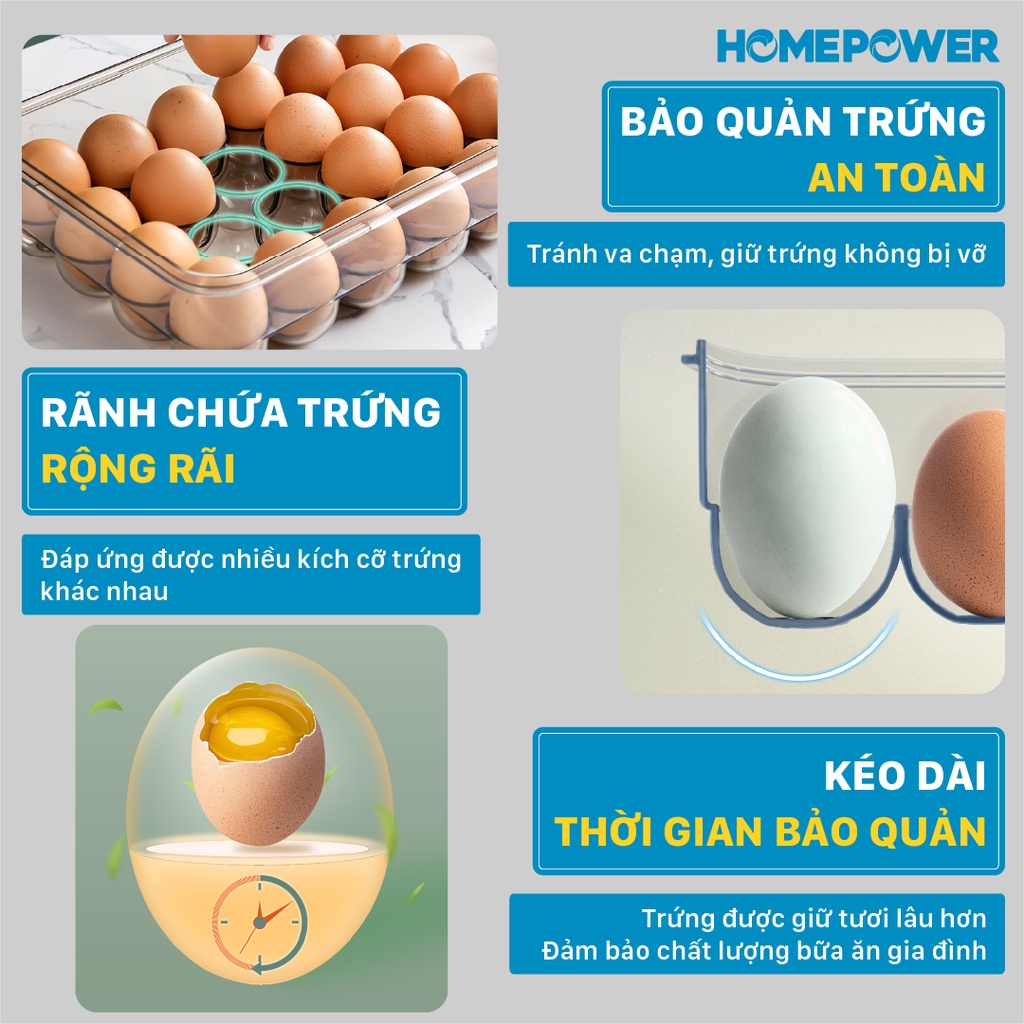 Hộp bảo quản trứng tủ lạnh cao cấp Homepower có vòng ghi chú thời gian bảo quản tiện lợi