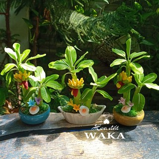 Hoa Đất Sét Mini-Cây Chuối Mini 15cm