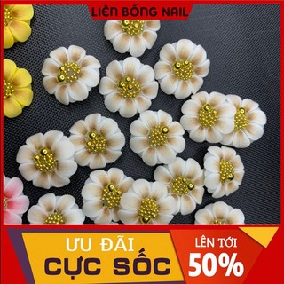hoa bột nail- hướng dương