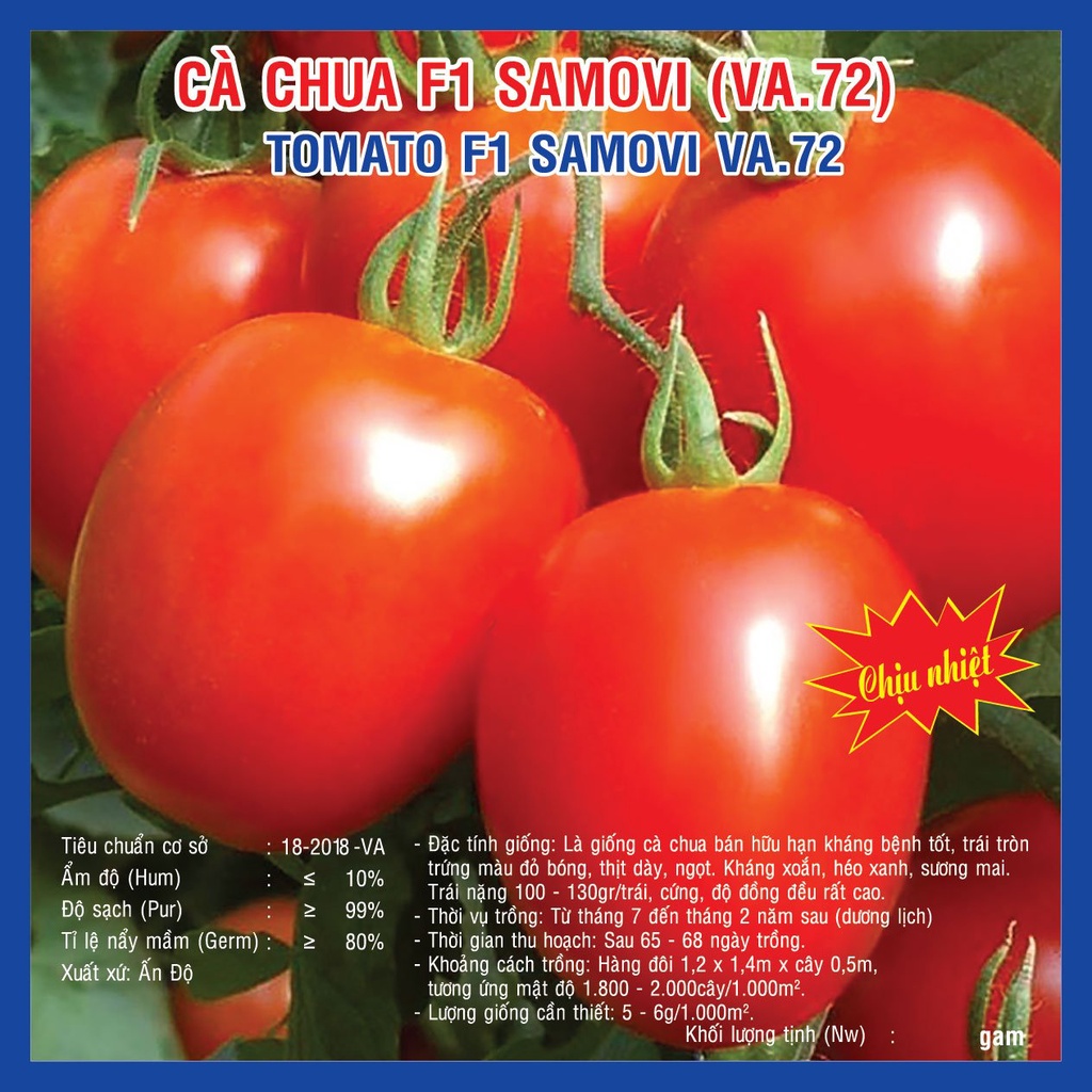 Hạt giống Cà chua F1 Samovi (VA.72) 100 hạt