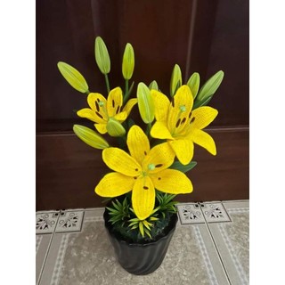 Nụ, nhụy hoa ly đất sét
