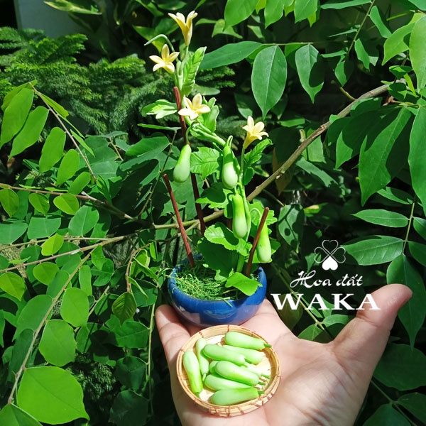 Mô hình Trái Bầu-Bí Xanh Mini- Rau Củ Quả Mini 1/12