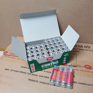 Pin Con Thỏ, Pin Tiểu AA 1.5V