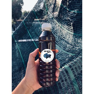 Nước cốt lá bàng nguyên chất - giúp cá khỏe - cá sung