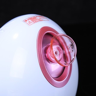 Máy Xông Mặt Mini Ion Âm VGRL NTFS-528