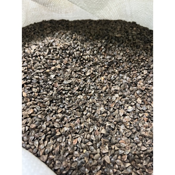 500Gam Hạt Ba Khía