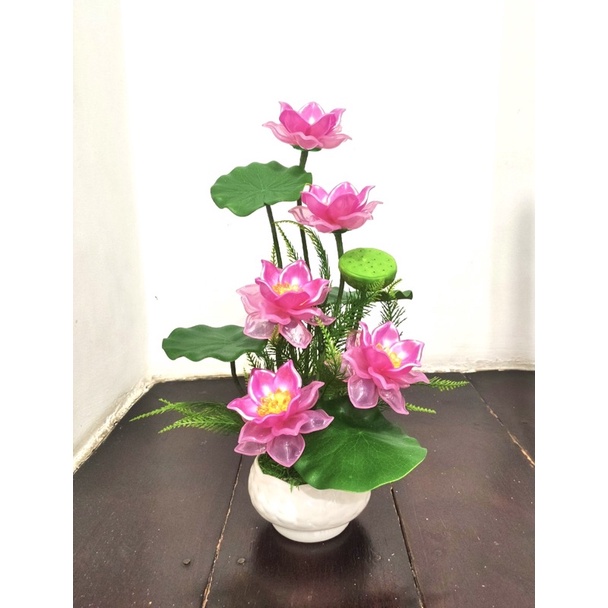 Chậu hoa sen cao 50cm ngang 25cm