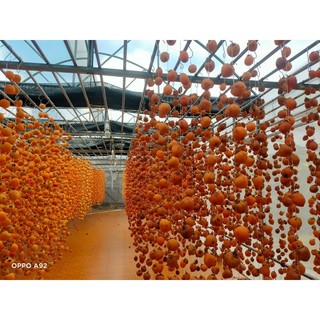500g Hồng treo gió. Nông sản xứ Dran, công nghệ Nhật Bản.