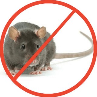 Thuốc Diệt Chuột Killrat (gói 40g)