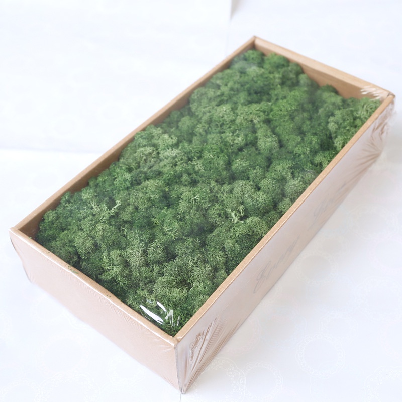 Rêu tuần lộc, phụ kiện làm đồ handmade - Jassi Mart